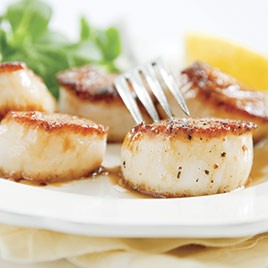 Pan-Seared Scallops