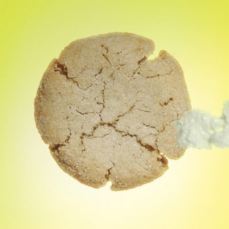 Recipe Photo: Triple-Ginger Cookies