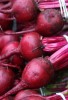 Recipe Photo: Beets with Creamy Horseradish Dressing