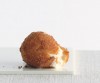 Recipe Photo: Fried Mozzarella Balls