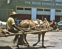 Belize-Anne100 Albert Street